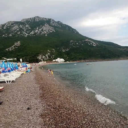 Vukcevic 2*